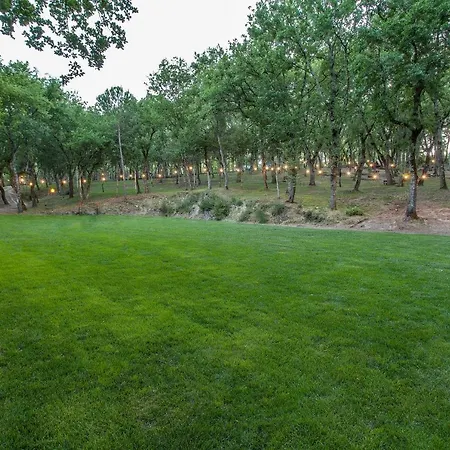 Luxor Chianti Glamping Village