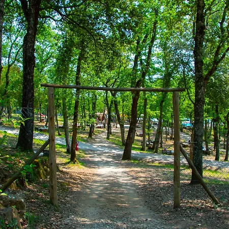 Luxor Chianti Glamping Village *